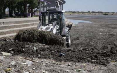 Programa Playas Limpias en la ribera de Quilmes