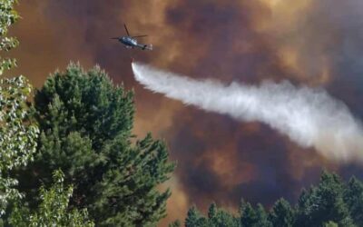 Ambiente, Fuego y Desmanejo