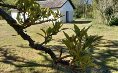 Charla sobre el cambio climático en el Museo Hudson