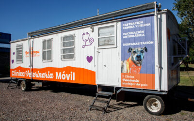 Nuevo quirófano móvil mascotero en Berazategui