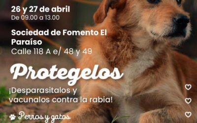 Nuevas jornadas de vacunación antirrábica y desparasitación