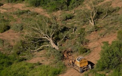 RECHAZAMOS Y CONDENAMOS EL ATAQUE DEL PRESIDENTE MILEI A LOS DERECHOS SOCIALES Y AMBIENTALES